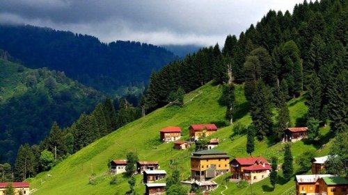 Ayder Plateau Travel Guide