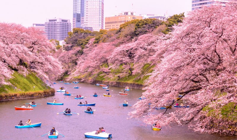 https://www.izbilir.com/uploads/images/2018/07/tokyo-kitanomaru-park-53542921.jpg