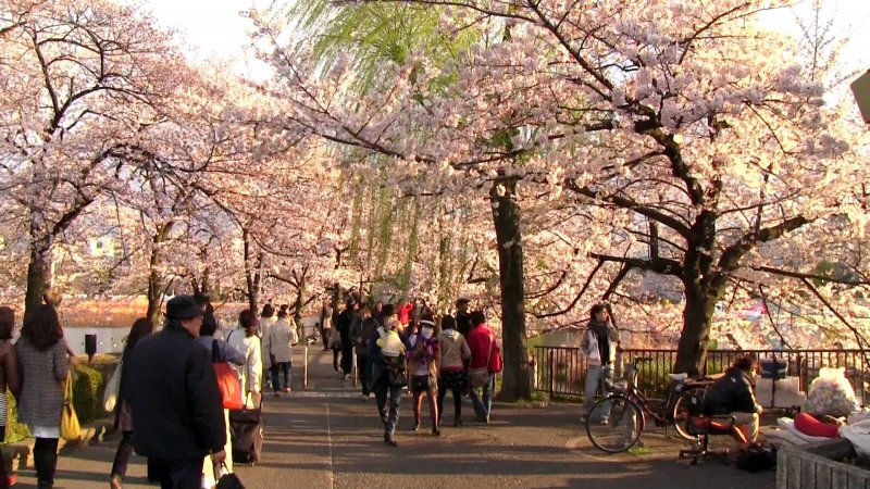 https://www.izbilir.com/uploads/images/2018/07/tokyo-ueno-park-17470651.jpg